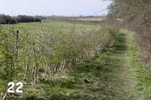 path to canal